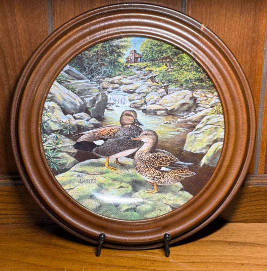 Vintage 1988 Jerner "The Gadwall" collector plate from Wild Feathered Finds, framed, featuring detailed bird artwork.