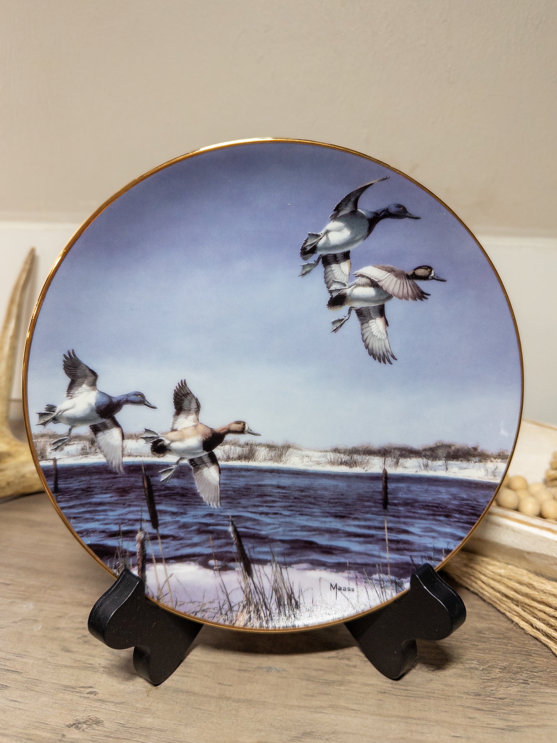 Bluebill Duck collector plate by David A. Maass, part of Wild Feathered Finds New Arrivals series, featuring detailed bird artwork.