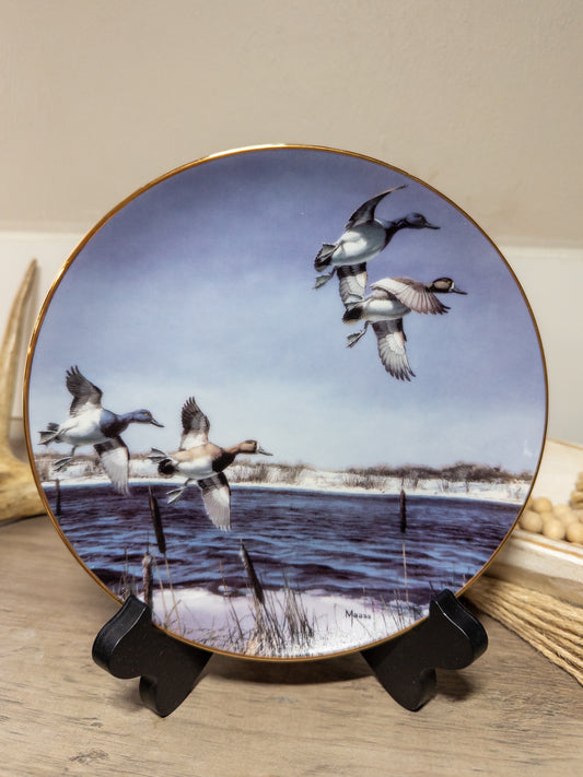 Bluebill Duck collector plate by David A. Maass, part of Wild Feathered Finds New Arrivals series, featuring detailed bird artwork.