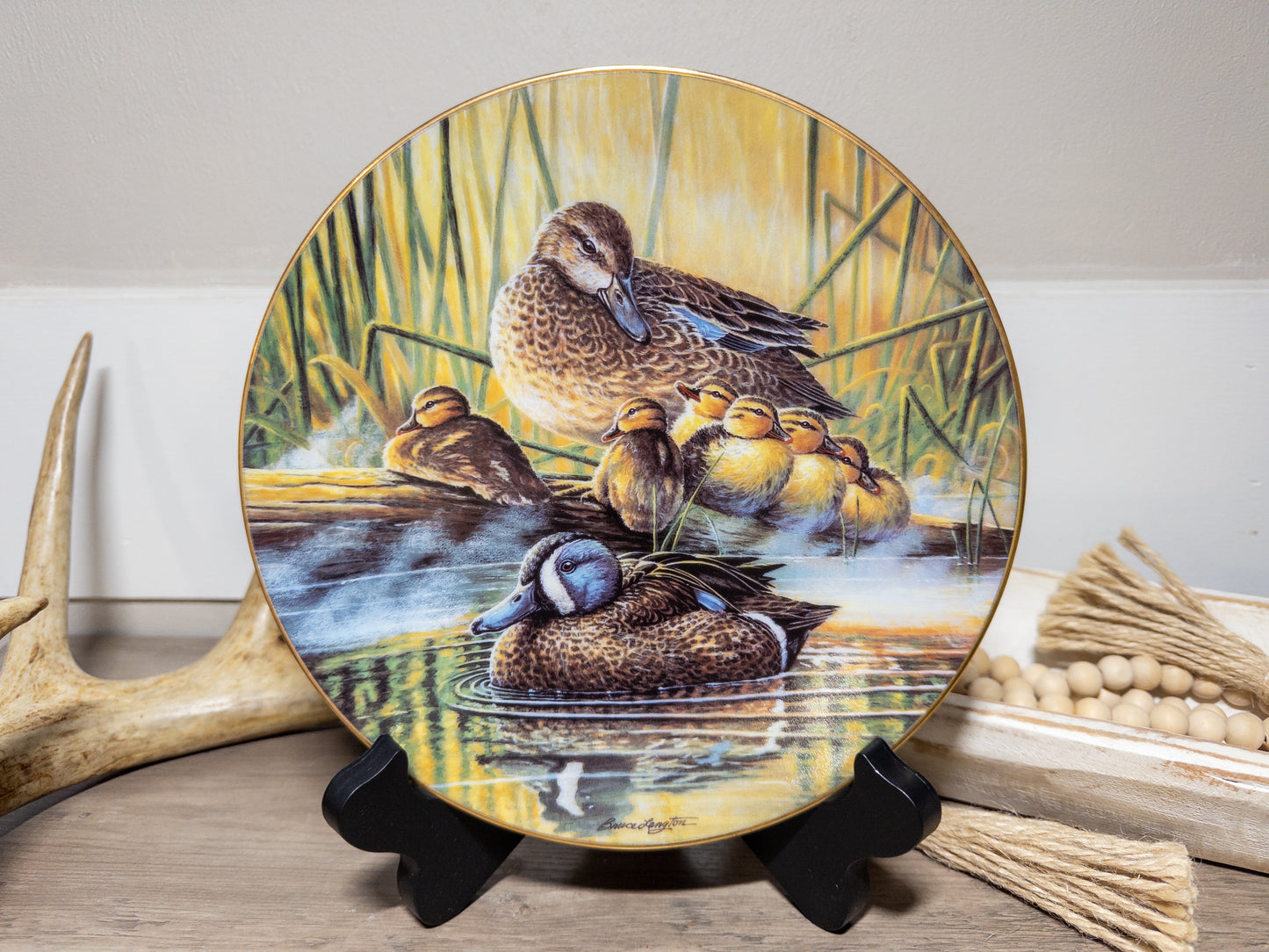 Blue-winged Teal Duck family collector plate by Bruce Langton, featuring detailed artwork of teal ducks in natural setting.