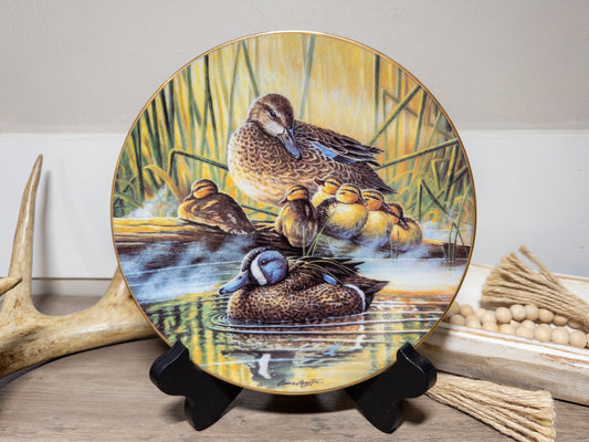 Blue-winged Teal Duck family collector plate by Bruce Langton, featuring detailed artwork of teal ducks in natural setting.