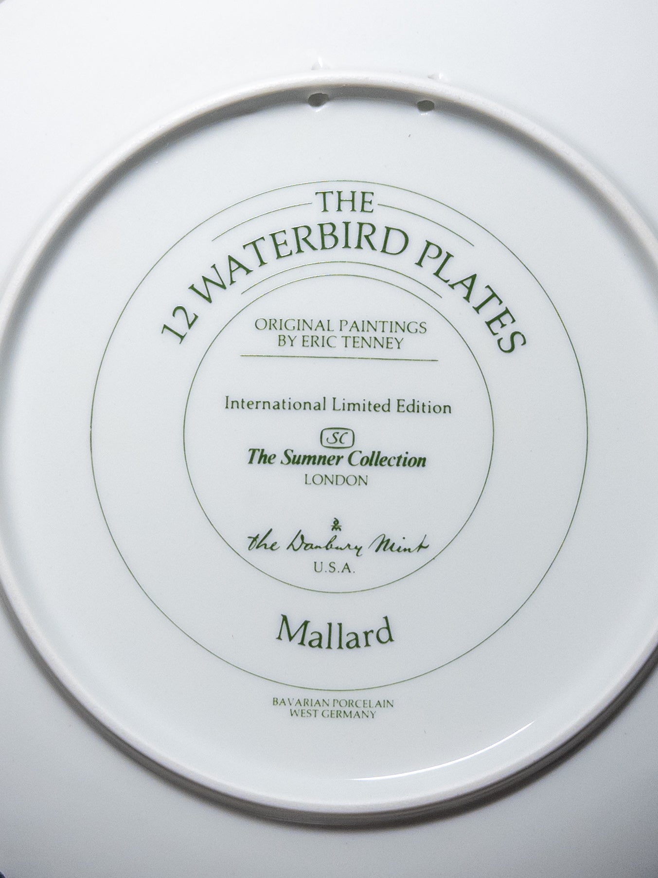 Wild Feathered Finds Danbury Mint Mallard waterbird porcelain plate, 9.5-inch limited edition decorative dish with detailed bird illustration.