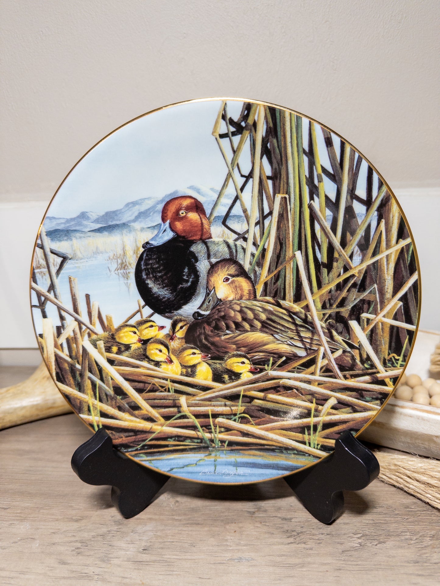 "Wild Feathered Finds 'Safe and Sound' redhead duck family collector plate by Bruce Langton, plate no. 3574A, featuring detailed duck illustrations."