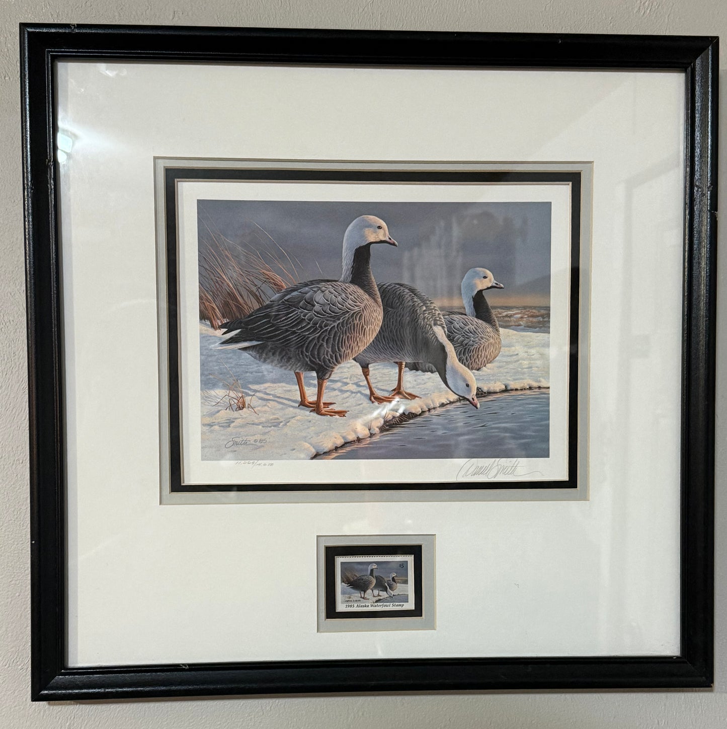 1985 Alaska Waterfowl Conservation Stamp Print Framed – Signed & Numbered