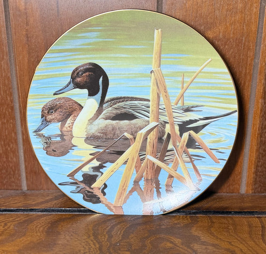 Nature’s Heritage “Northern Pintails” Collector Plate by Rod Lawrence #00486/10000