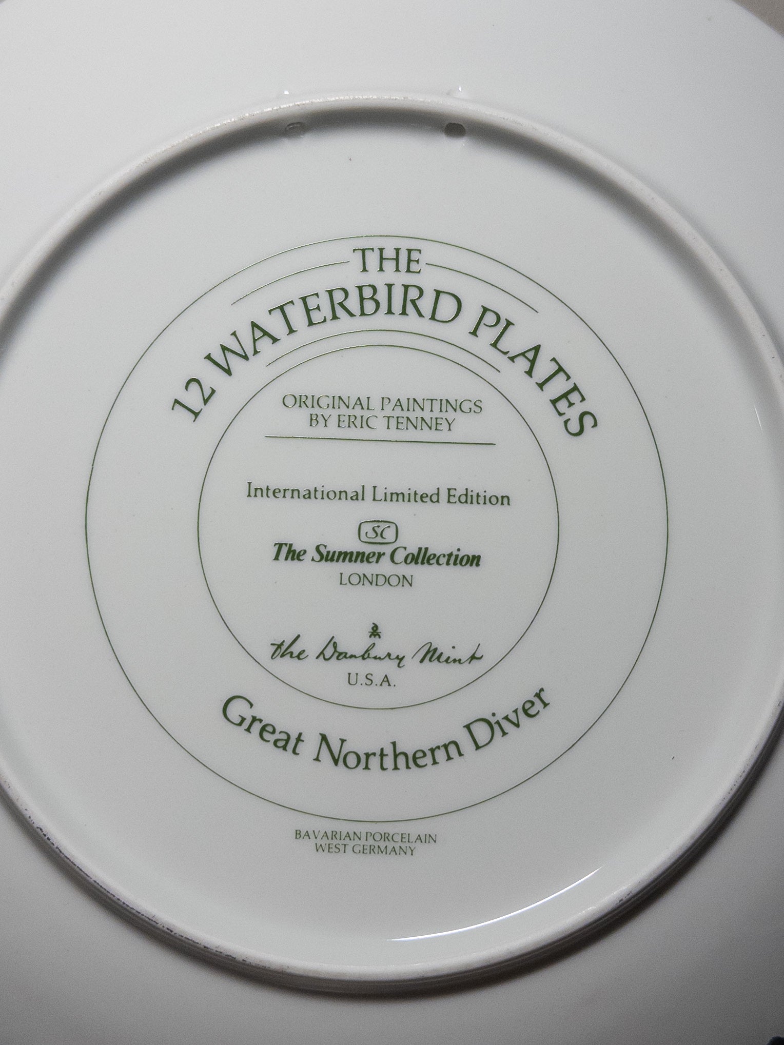 Wild Feathered Finds Danbury Mint 12 Waterbird Plates featuring the Great Northern Diver loon, 9.5-inch porcelain limited edition plate