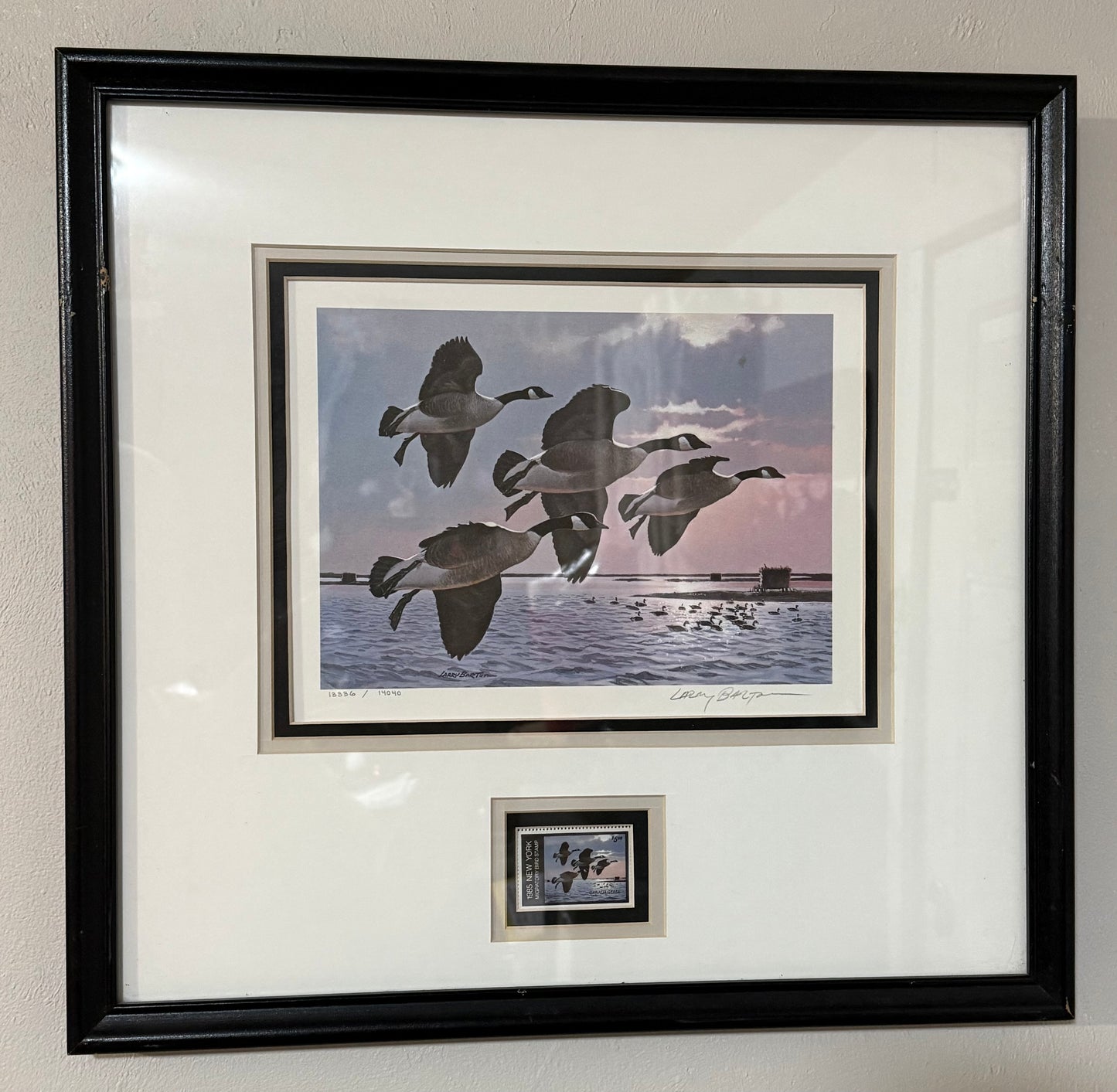 Canada geese migratory bird print by Larry Barton, showcasing wild birds and conservation themes in a detailed artwork.