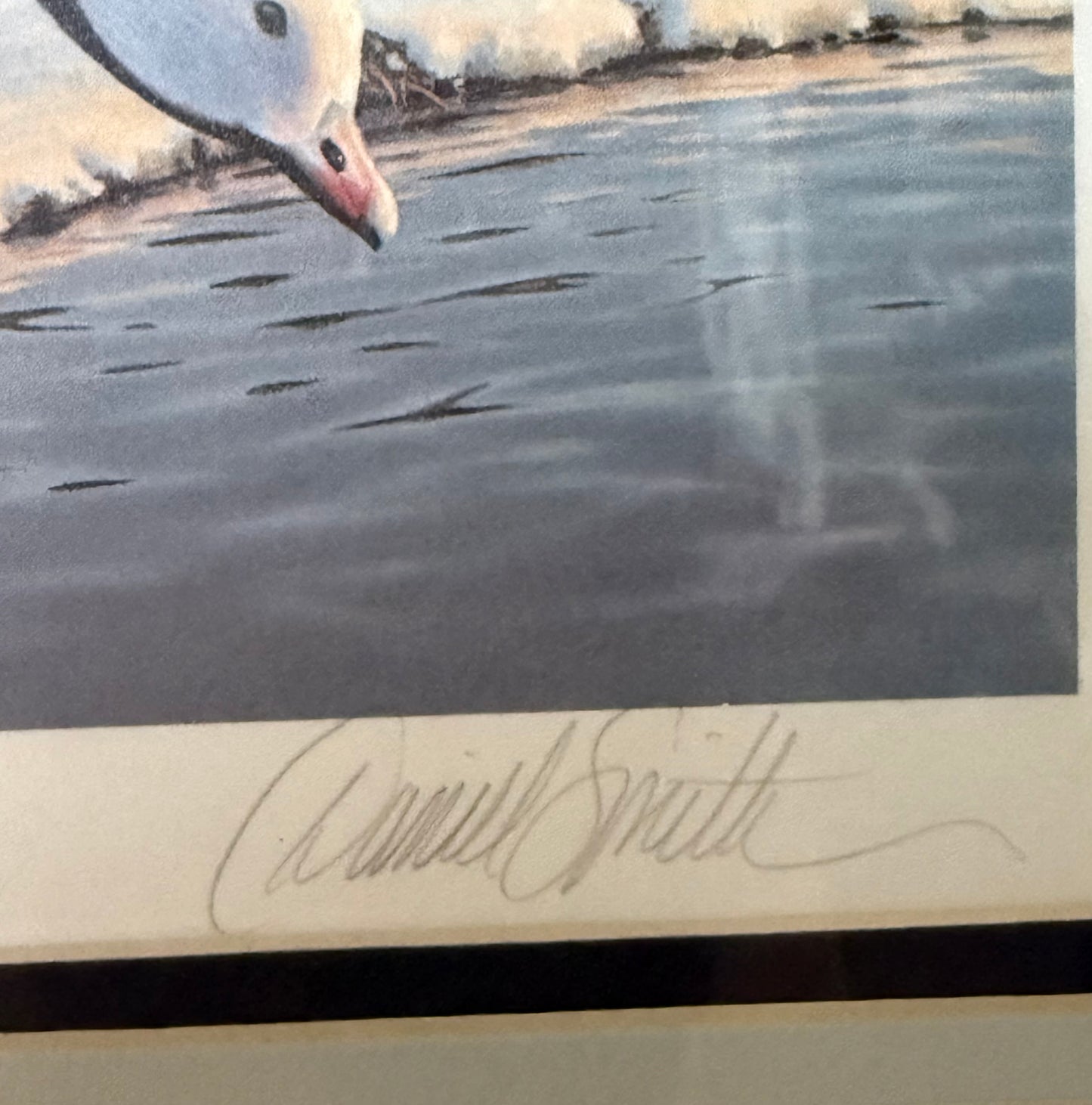 1985 Alaska Waterfowl Conservation Stamp Print Framed – Signed & Numbered