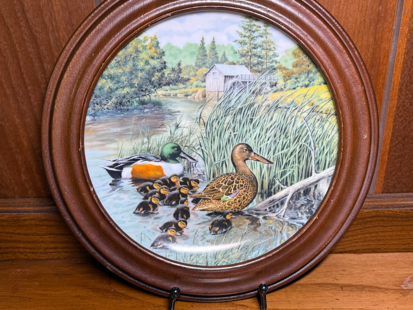 Vintage 1987 Wild Feathered Finds collector plate featuring "The Northern Shoveler" from the Living With Nature series, framed display.