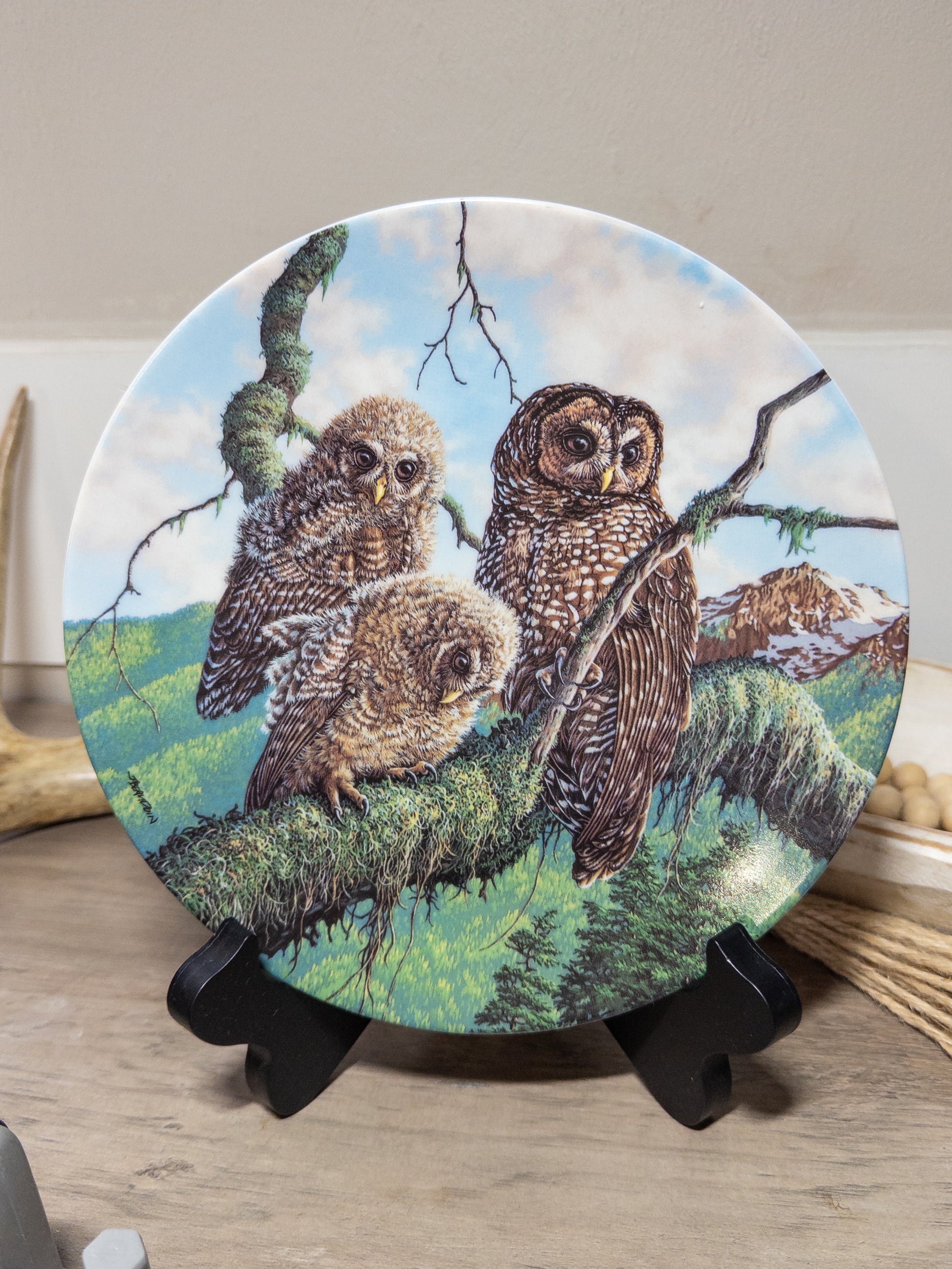 Woodland Watch Spotted Owls collector plate by Jim Beaudoin, featuring detailed owl artwork from Knowles China, under Mother's Wing design.