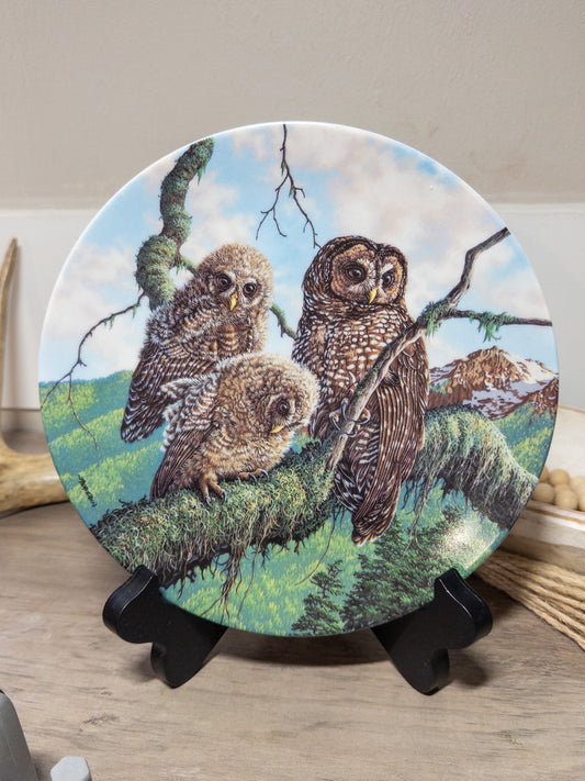 Woodland Watch Spotted Owls collector plate by Jim Beaudoin, featuring detailed owl artwork from Knowles China, under Mother's Wing design.