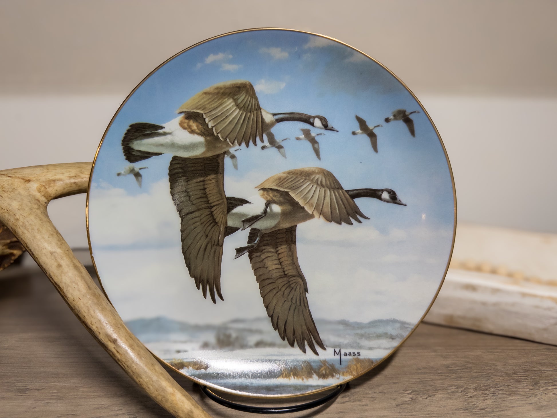 Last of the Season Goose Plate by David Maass featuring ducks taking flight, wildlife art by Wild Feathered Finds.
