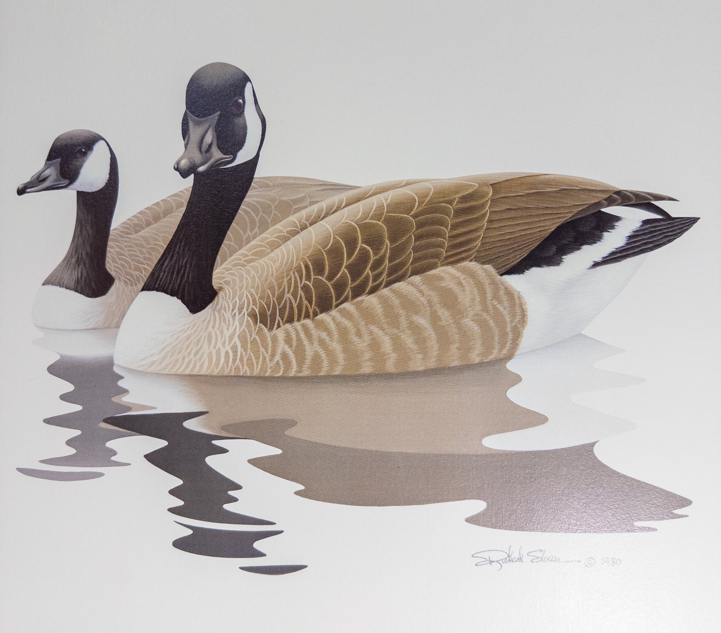 Richard Sloan Canada Geese Pair Wildlife Art Print 19x15