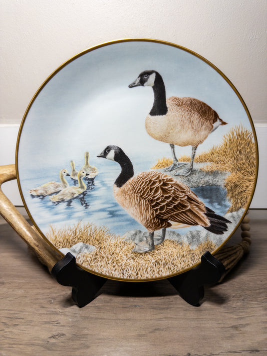 Danbury Mint Waterbird Plate featuring a Canada Goose, 9.5-inch limited edition porcelain plate by Wild Feathered Finds.