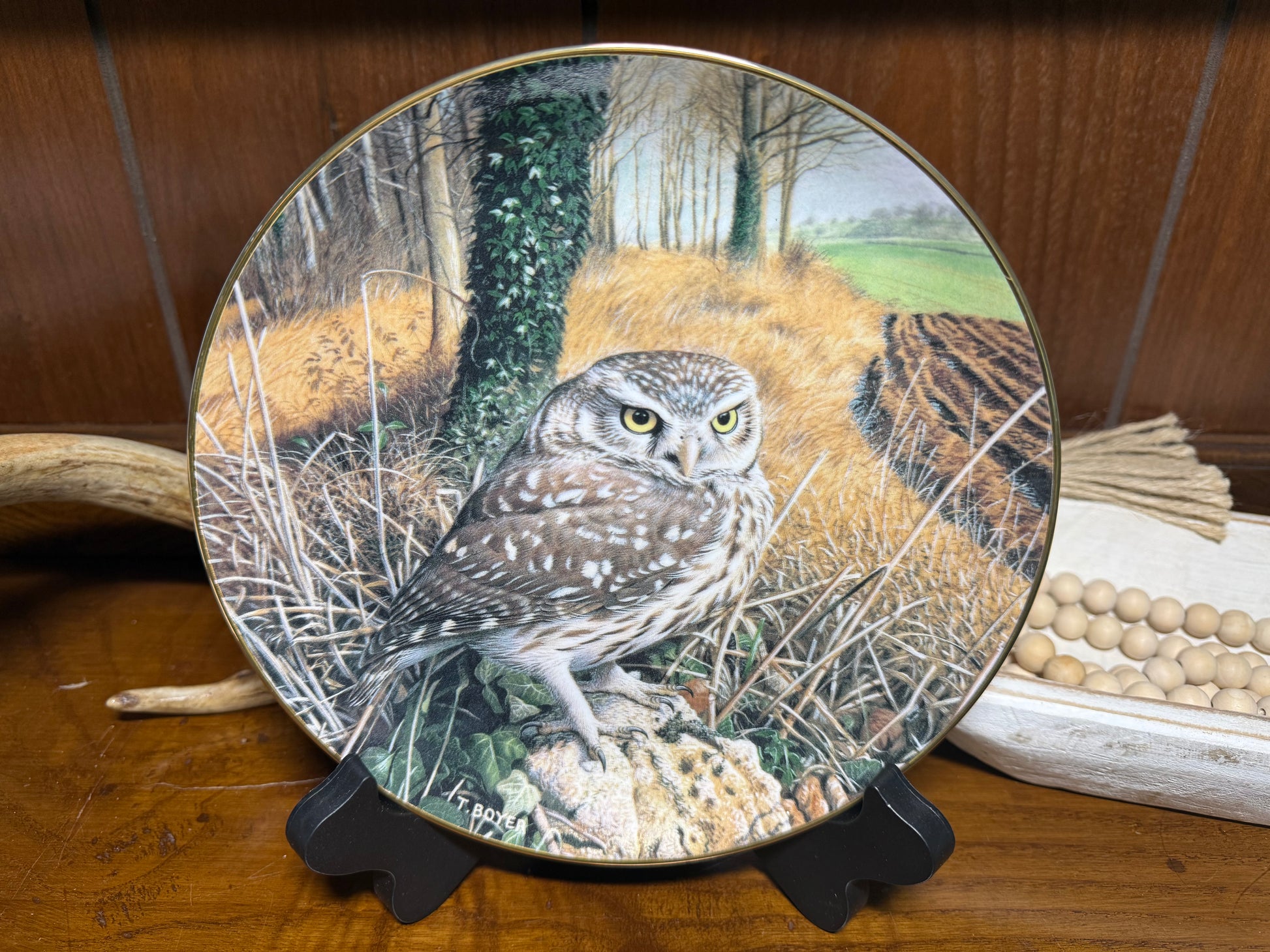Wild Feathered Finds "Watchful Eyes" owl collector plate by Trevor Boyer, featuring detailed owl artwork with certificate of authenticity.