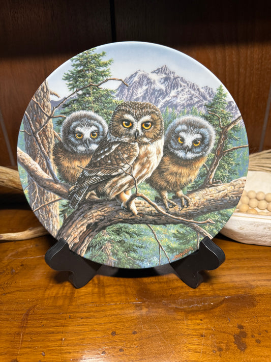Collector plate featuring a saw-whet owl design from Vast View: Saw-whet Owls series by Jim Beaudoin, Wild Feathered Finds.