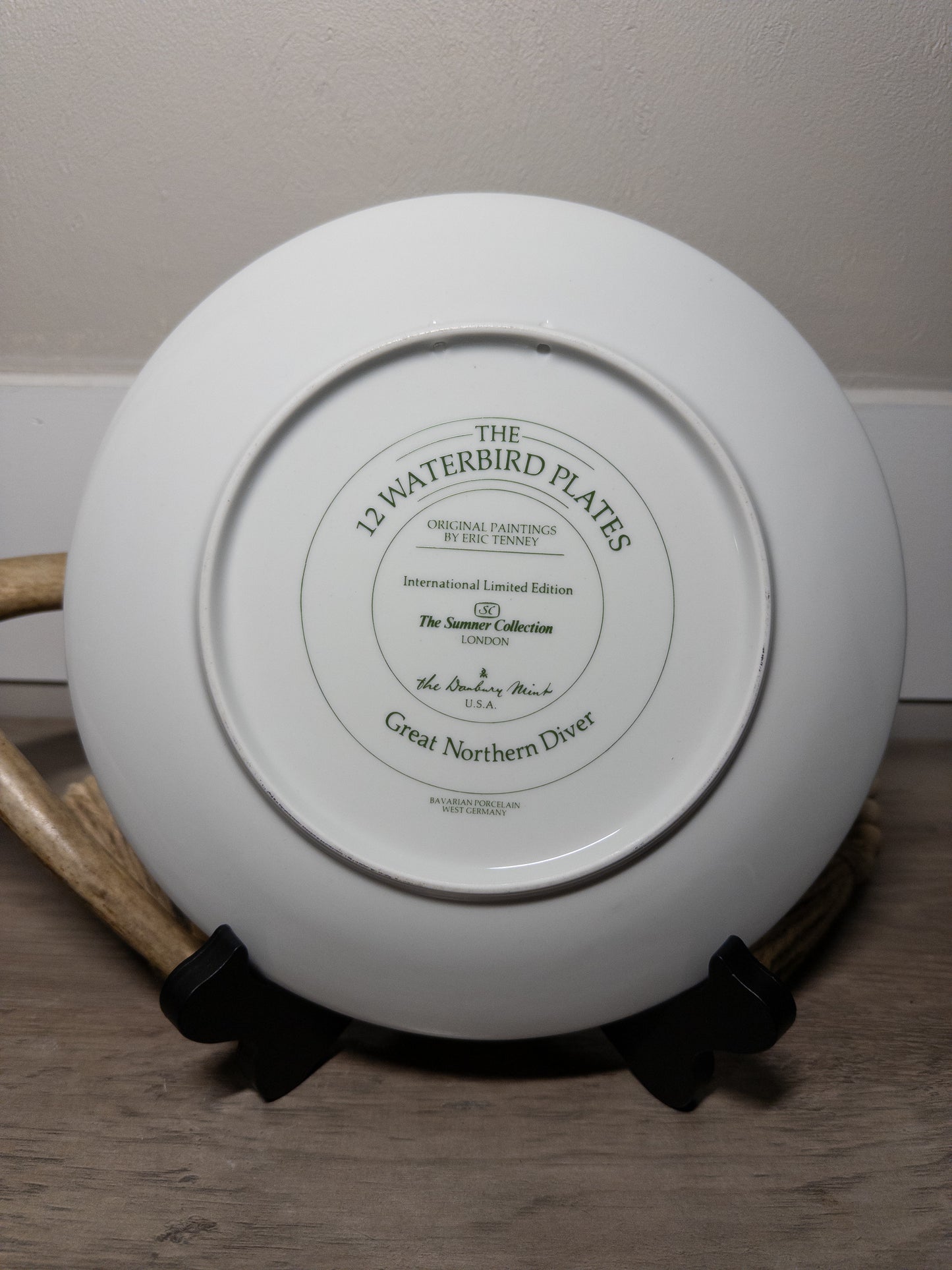 Danbury Mint 12 Waterbird Plates featuring the Great Northern Diver, a 9.5-inch porcelain loon plate by Wild Feathered Finds