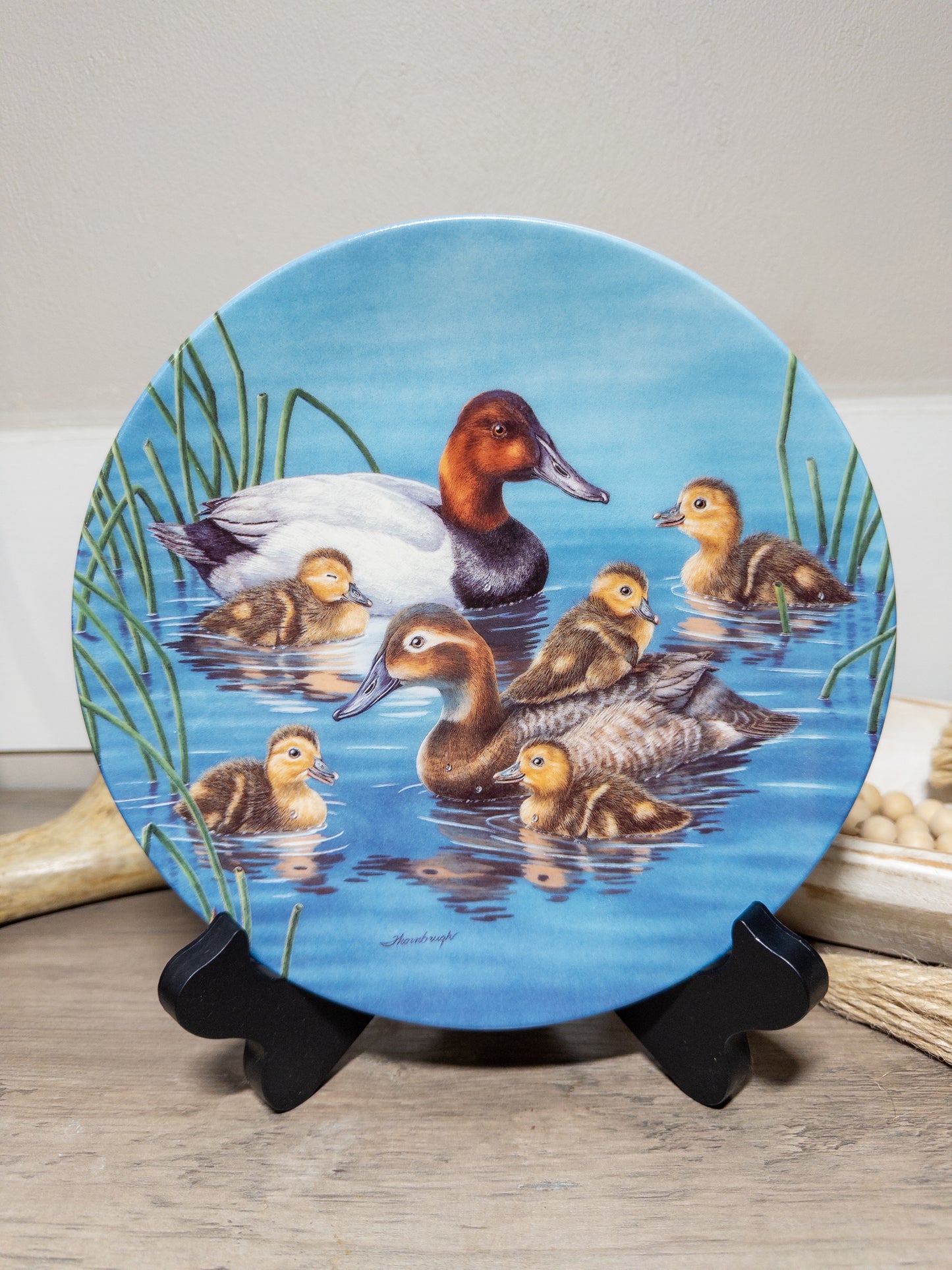 Vintage Canvasback Duck collector plate "Piggyback Ride" by Joe Thornbrugh, featuring a nature scene with ducks, from Wild Feathered Finds.