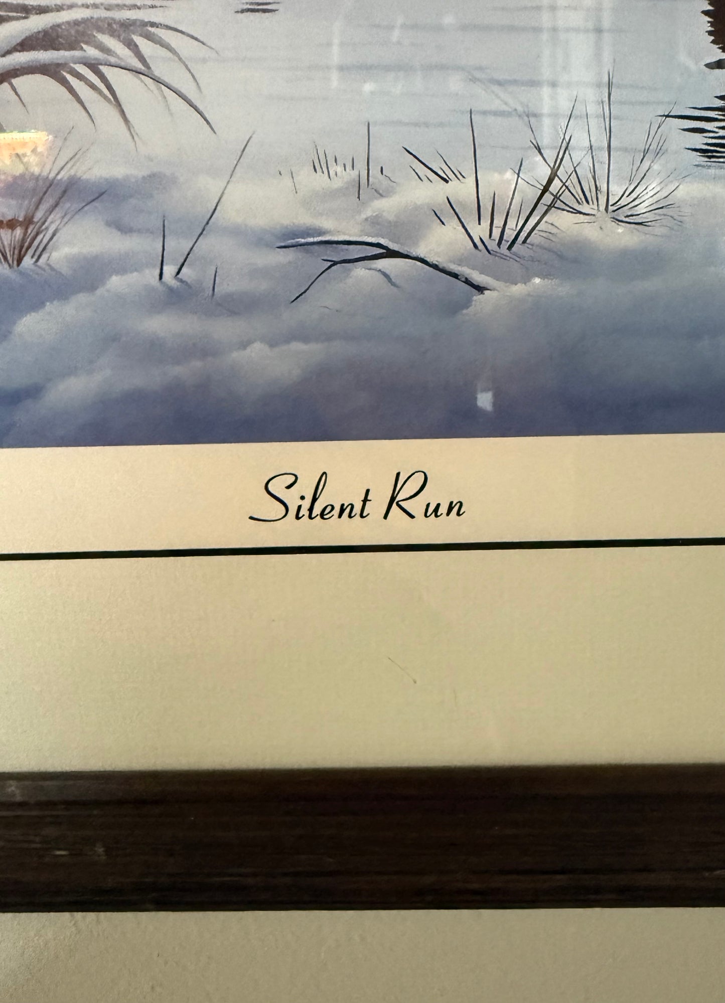 Silent Run – W. Robert Tolley Signed Limited Edition Goose Art Print (65/300)