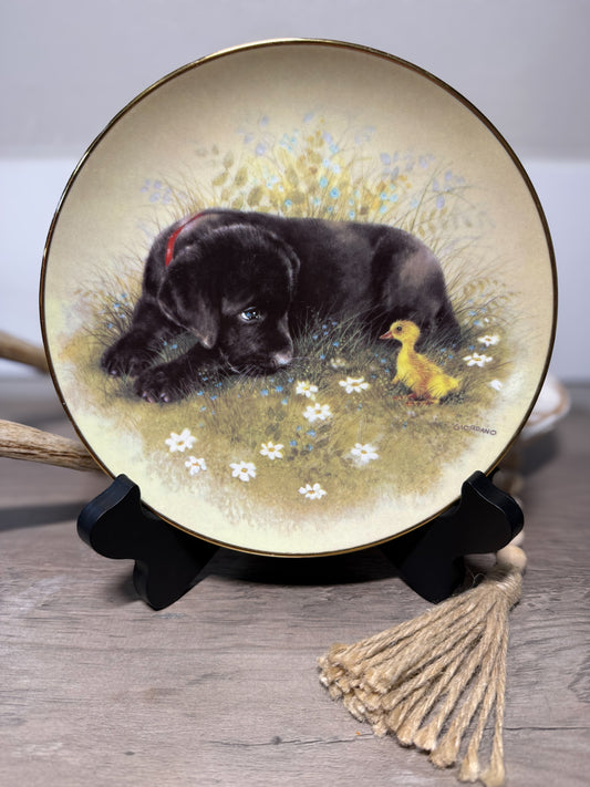 Vintage Knowles “Taking a Gander” Black Labrador Puppy collector plate by Joseph Giordano, featuring detailed Labrador dog artwork.