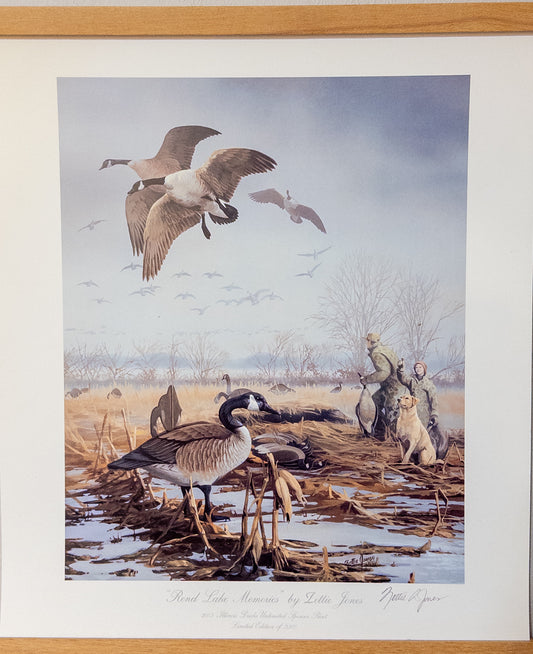 Colorful bird print titled "Rend Lake Memories" by Zettie Jones, featuring Illinois ducks, created by Wild Feathered Finds, 17x15 inches.