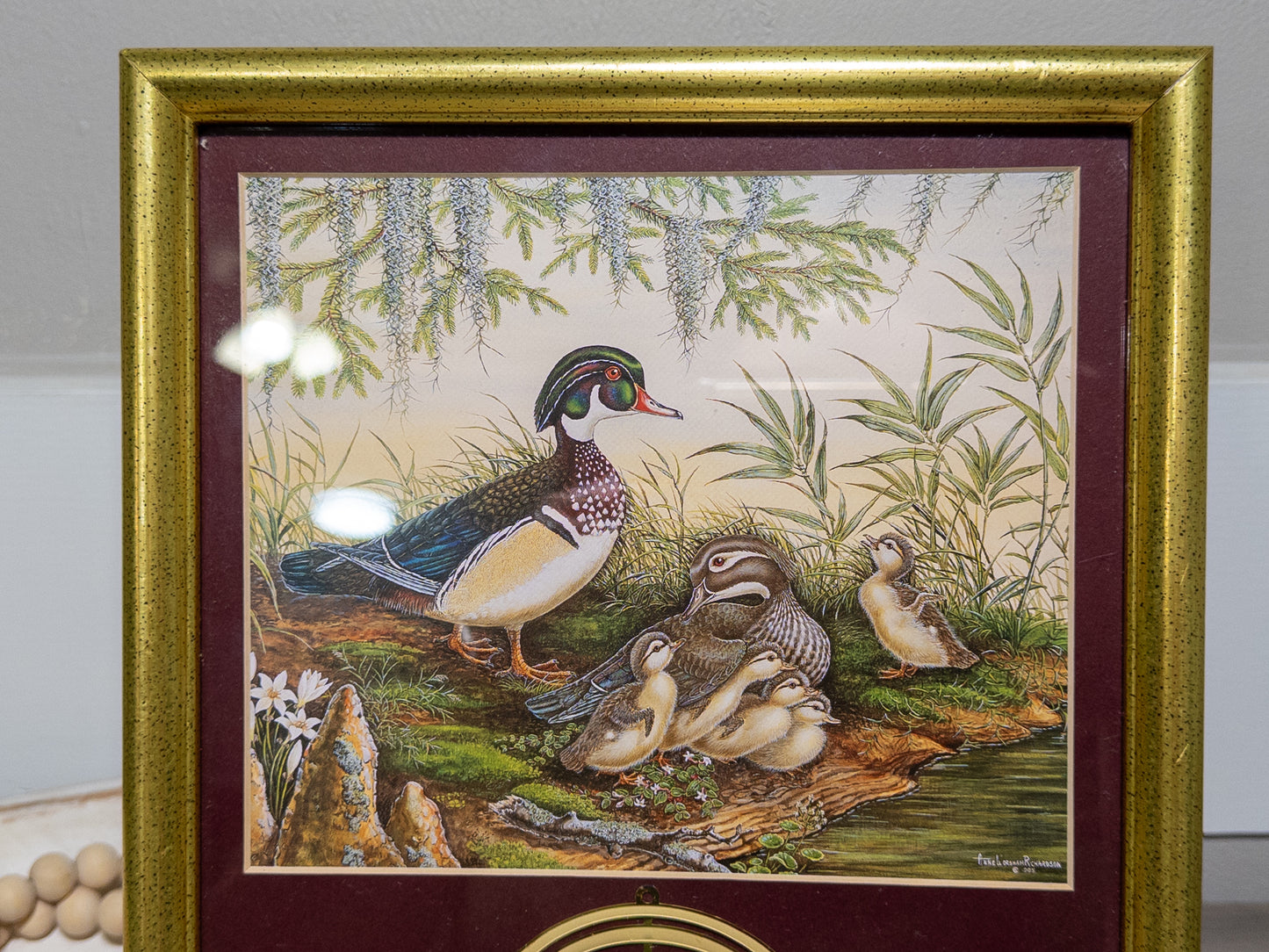 1995 South Carolina Ornament of Hope Wood Duck Print Framed Charleston Mint 20x16