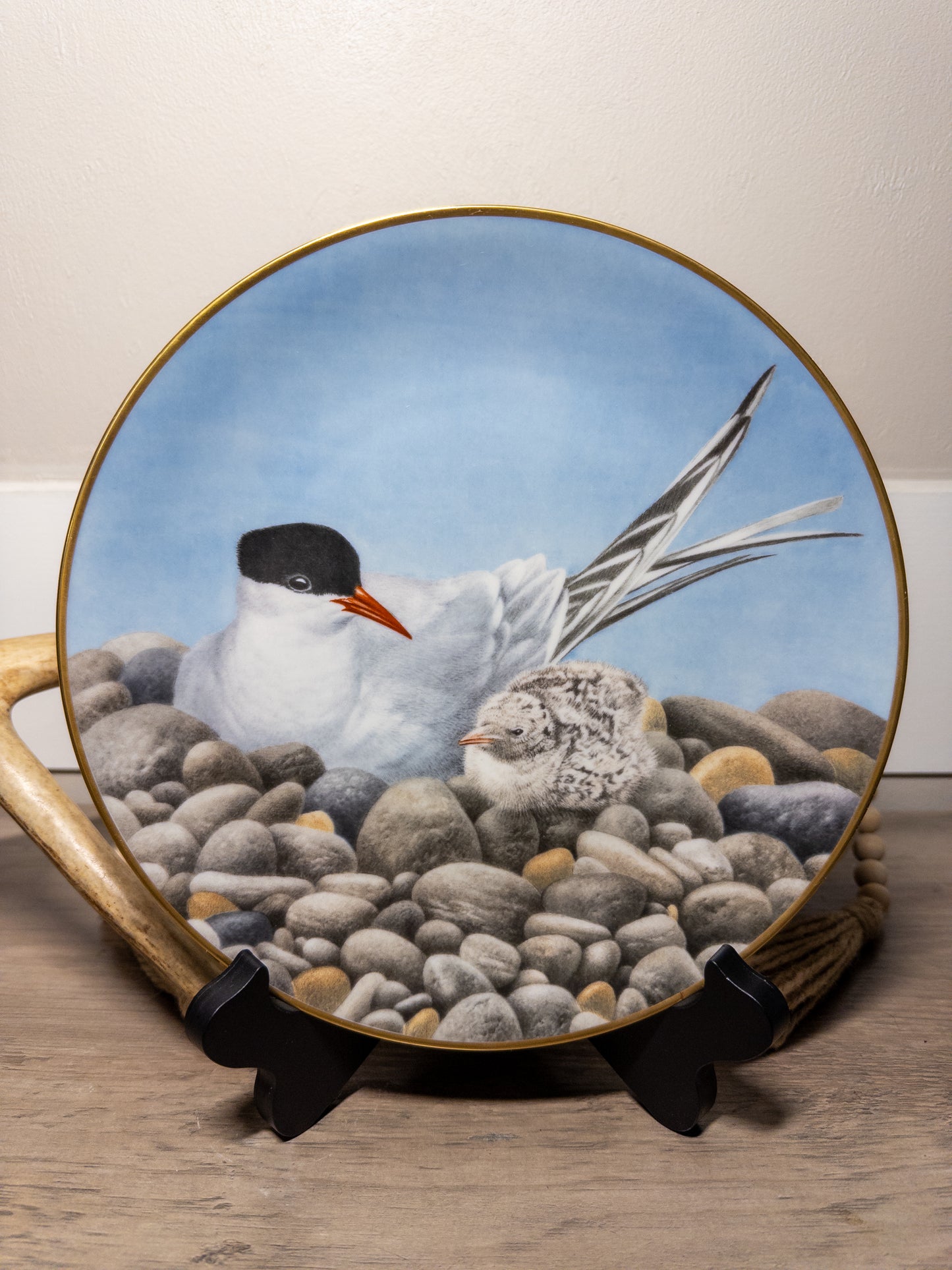 Limited edition Wild Feathered Finds Danbury Mint porcelain plate featuring a tern waterbird, 9.5 inches in diameter.