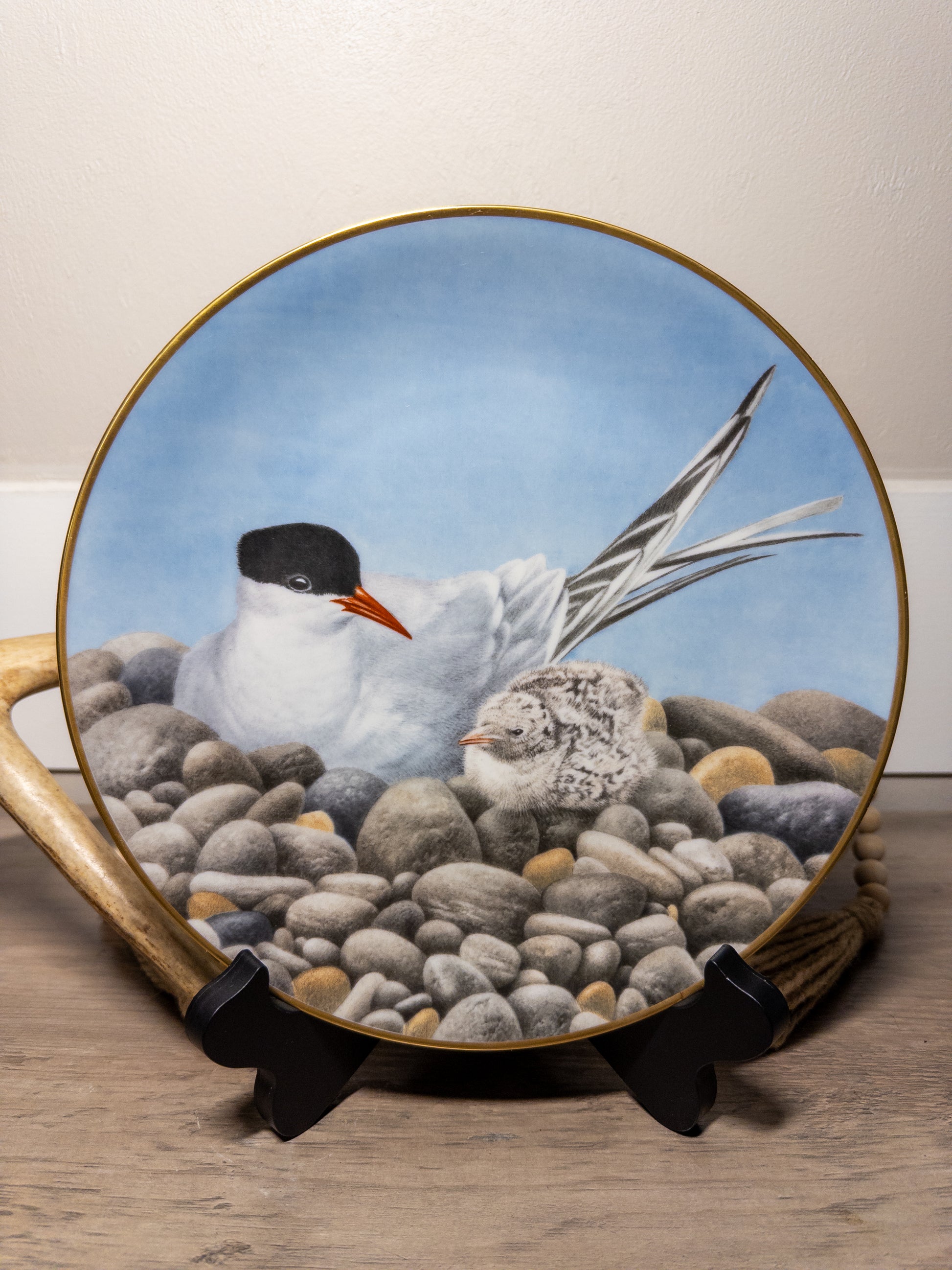 Limited edition Wild Feathered Finds Danbury Mint porcelain plate featuring a tern waterbird, 9.5 inches in diameter.