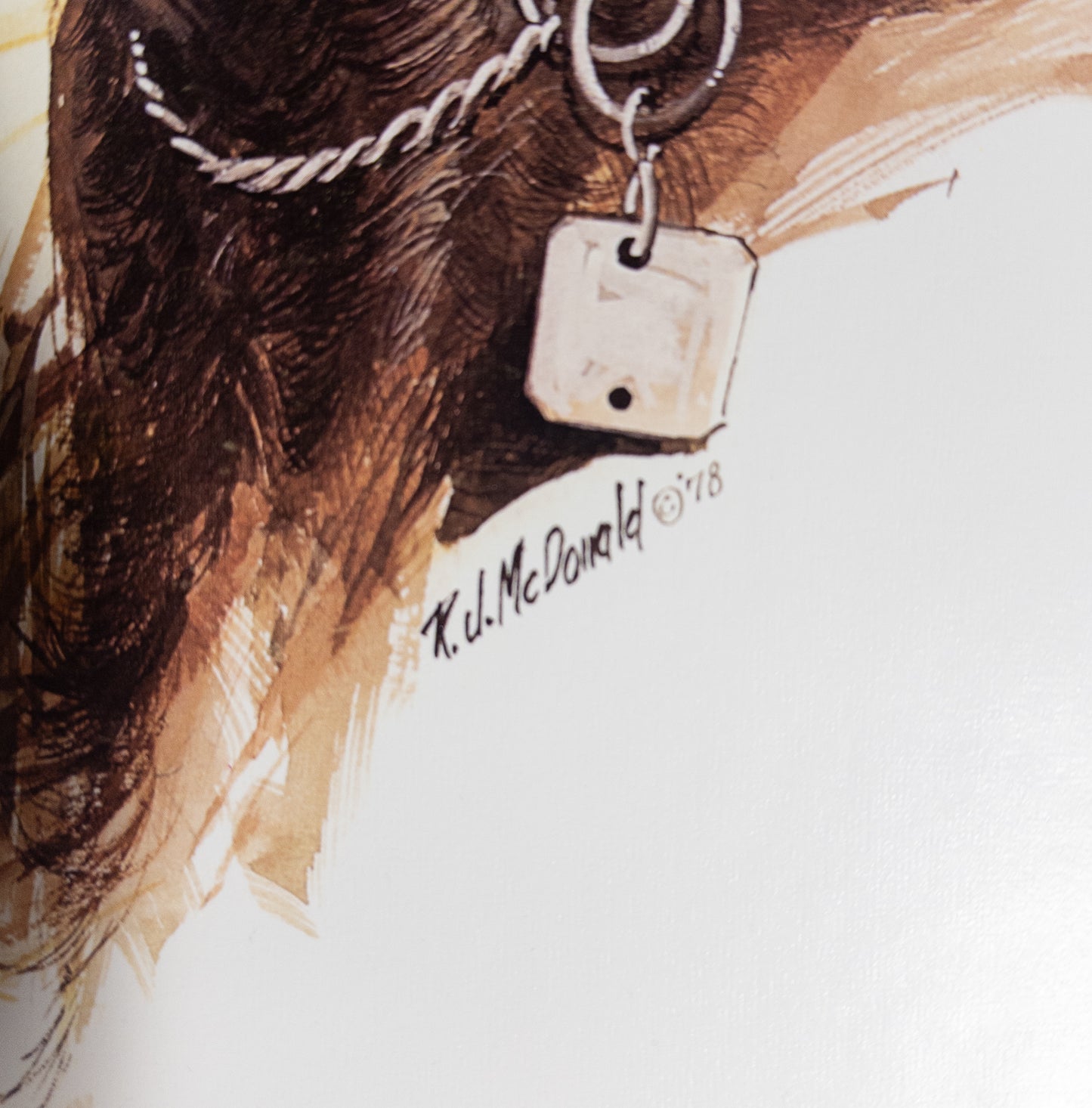 Vintage R.J. McDonald Black Lab Duck Hunting Print 1978 14x18