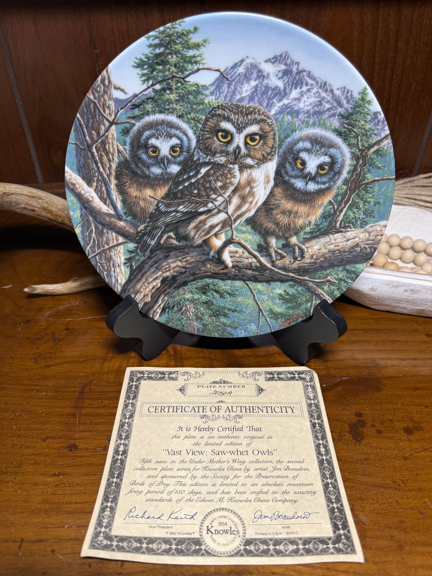 Vast View Saw-whet Owls collector plate by Jim Beaudoin, featuring detailed illustration of owls under mother's wing, Wild Feathered Finds.