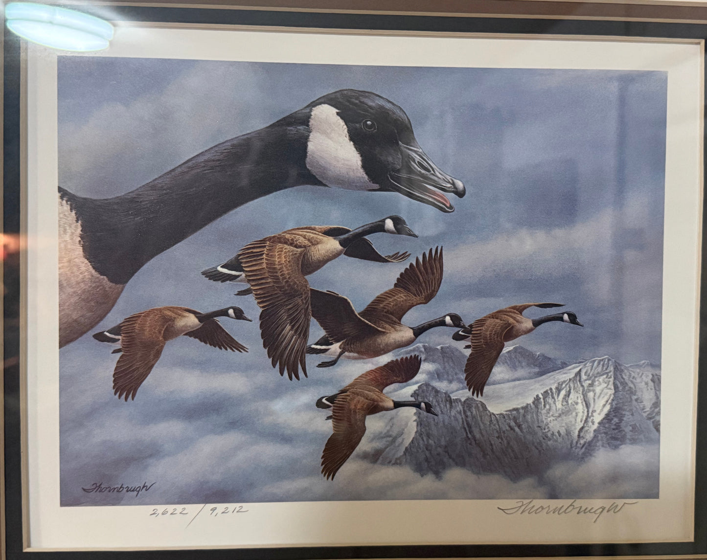 1986 Montana Waterfowl Stamp Print Framed – Signed & Numbered Canada Geese Art