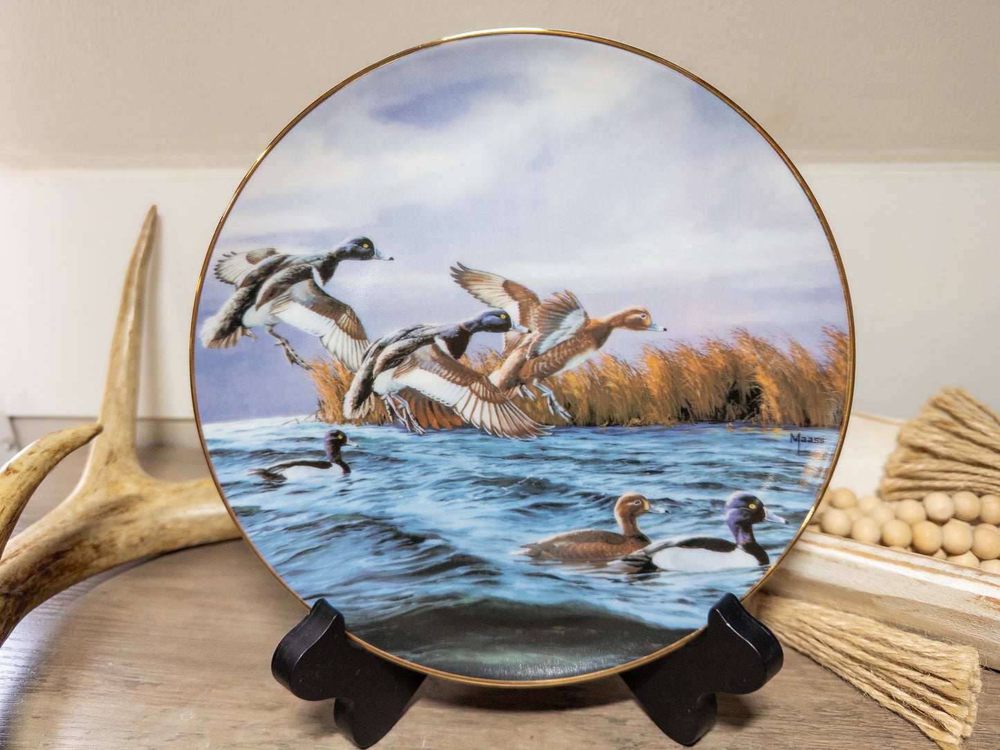 Feeding Time Ring-Neck Duck collector plate by David A. Maass for Wild Feathered Finds, featuring detailed duck artwork.