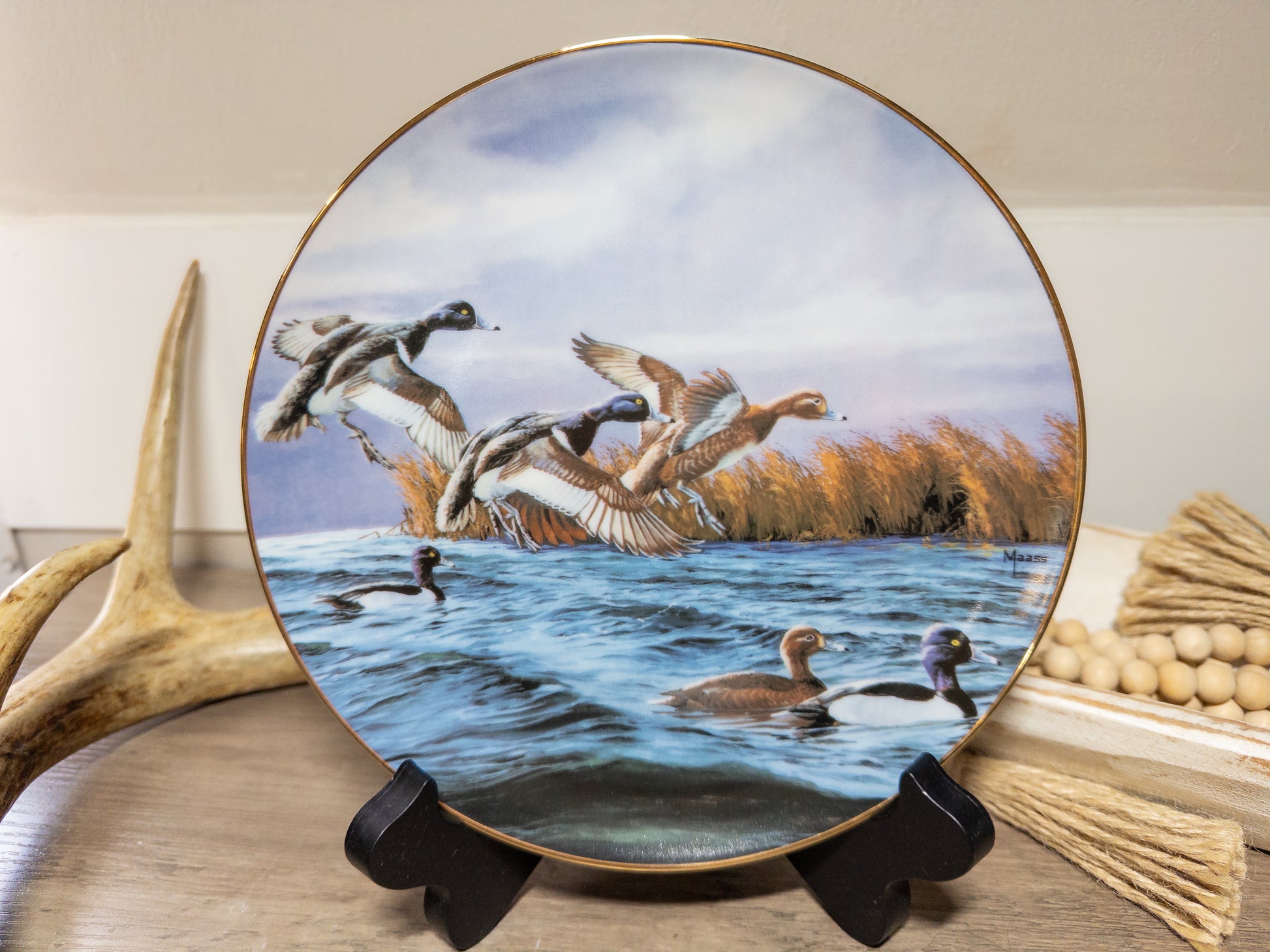 Feeding Time Ring-Neck Duck collector plate by David A. Maass for Wild Feathered Finds, featuring detailed duck artwork.
