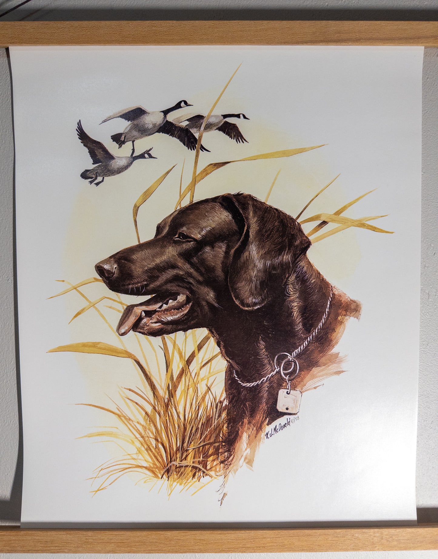 Vintage R.J. McDonald Black Lab Duck Hunting Print 1978 14x18