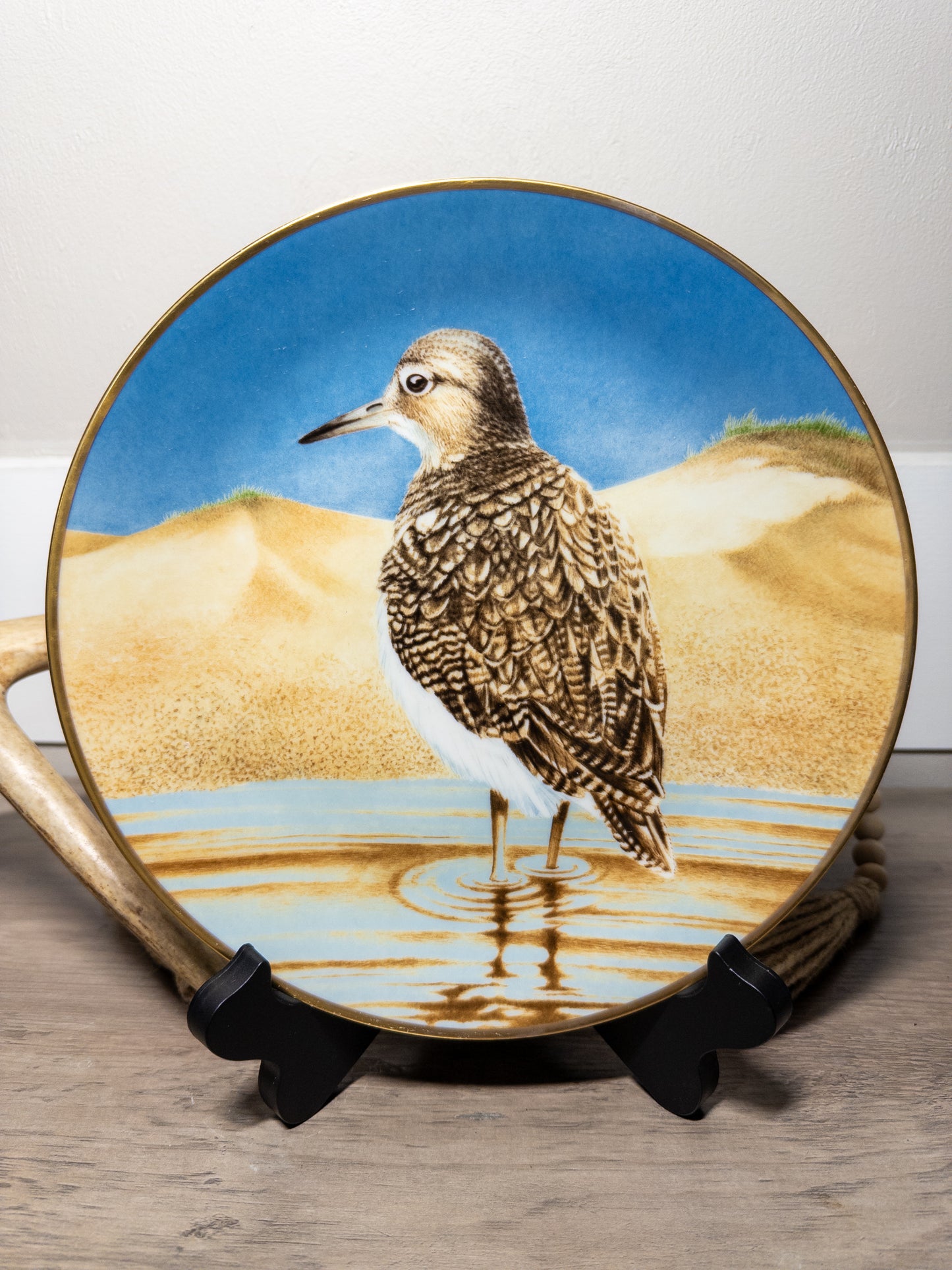 Danbury Mint Waterbird Plate "Sandpiper" by Wild Feathered Finds, 9.5-inch porcelain limited edition plate featuring a sandpiper bird.