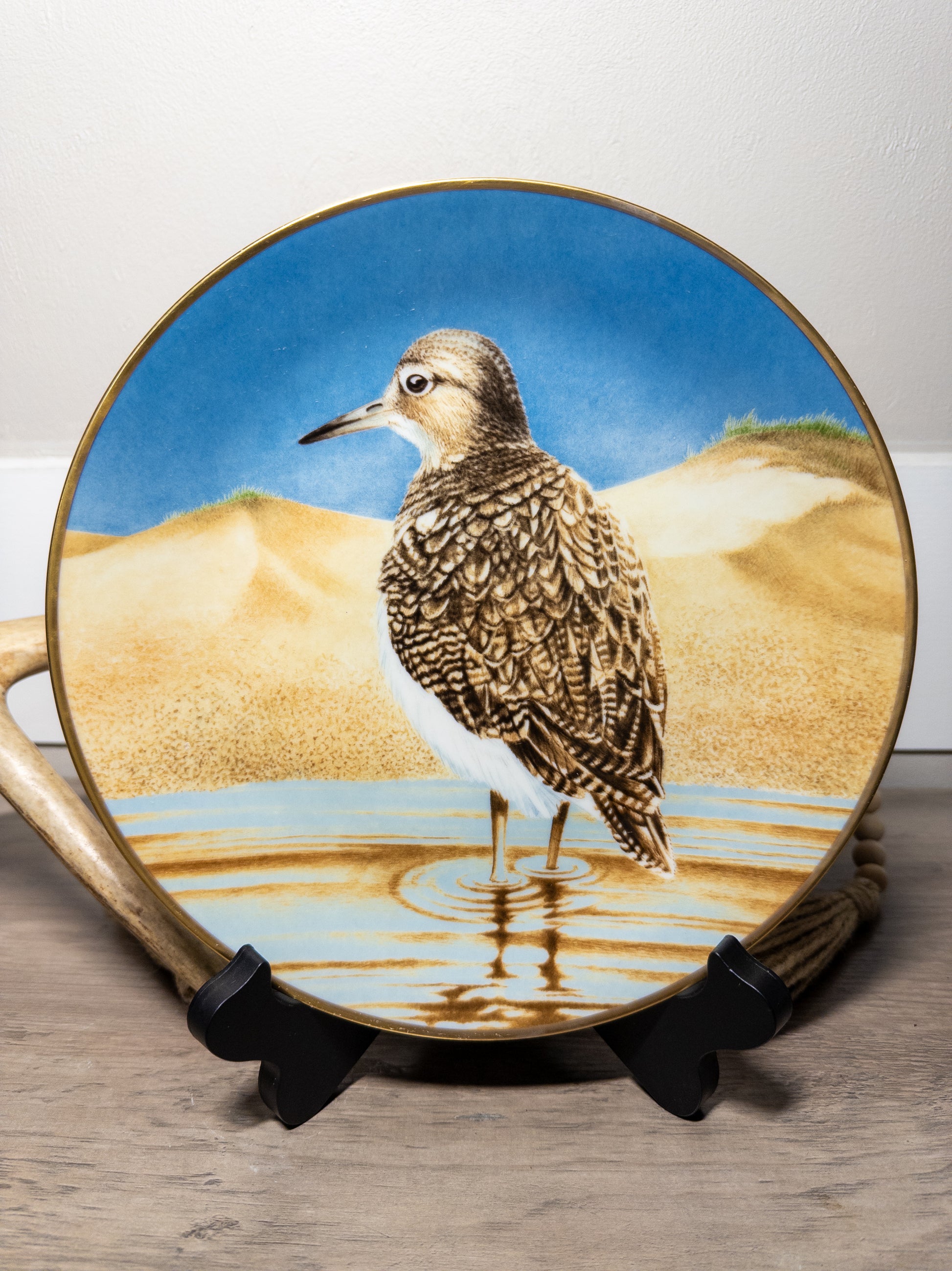 Danbury Mint Waterbird Plate "Sandpiper" by Wild Feathered Finds, 9.5-inch porcelain limited edition plate featuring a sandpiper bird.