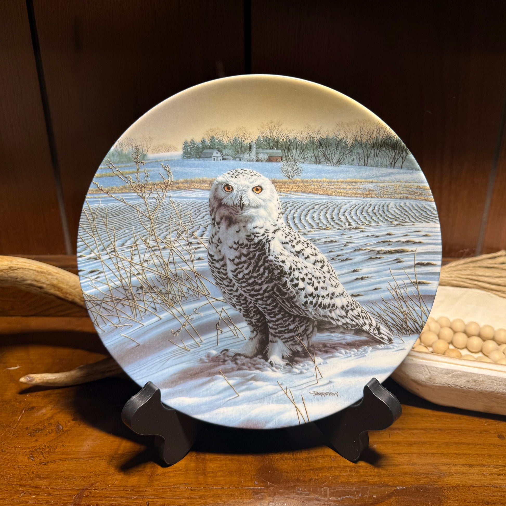 White ceramic plate featuring a snowy owl illustration by Jim Beaudoin from The Stately Owls collection by Knowles China.