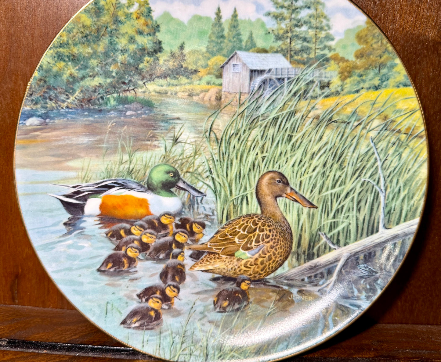 Vintage 1987 Knowles “The Northern Shoveler” collector plate by Wild Feathered Finds, featuring a detailed bird illustration.