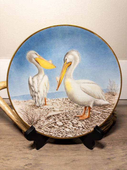 Limited edition Wild Feathered Finds Danbury Mint 12 Waterbird Plates featuring pelicans, 9.5-inch porcelain collectible plate.
