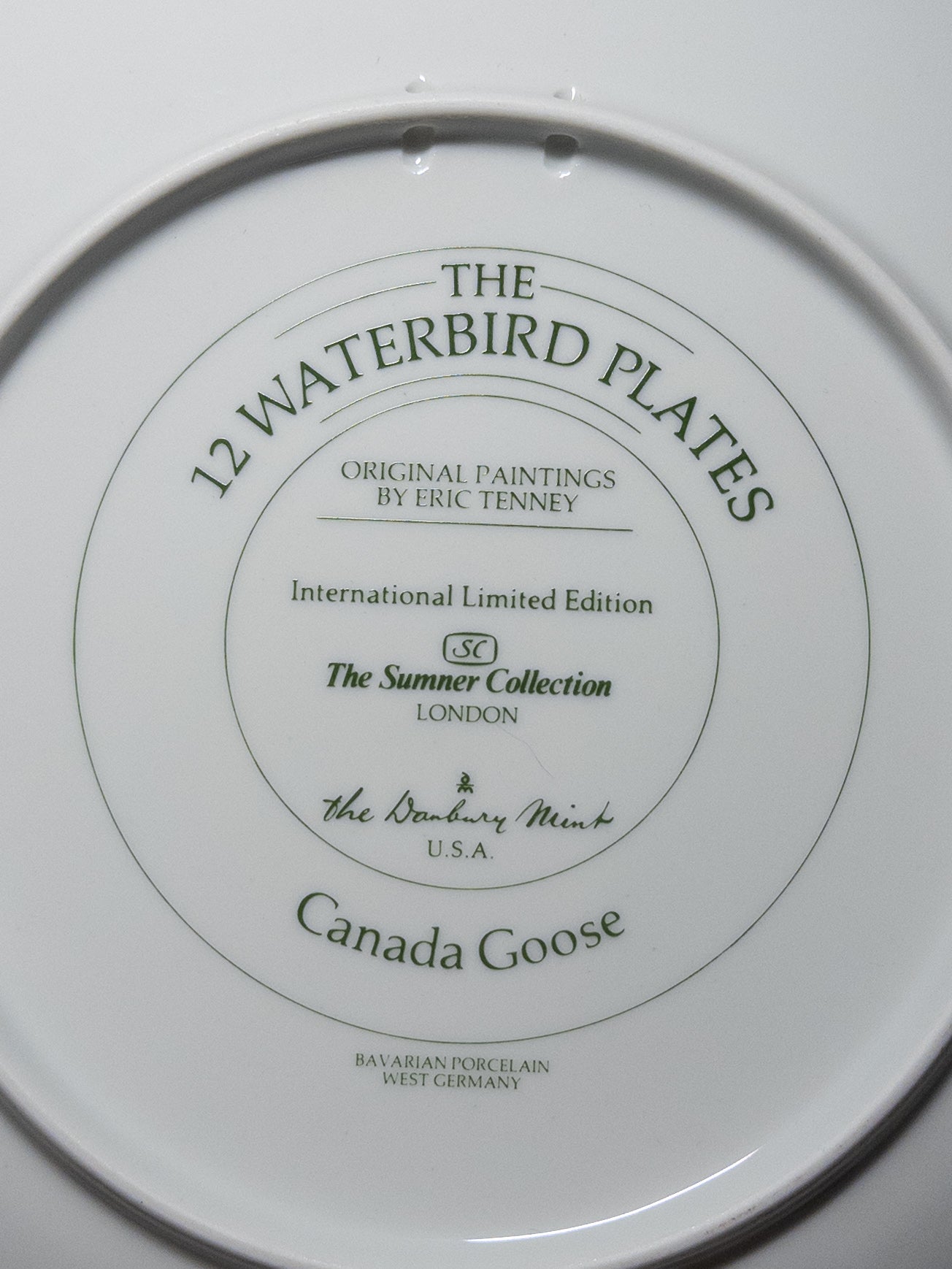 Danbury Mint 12 Waterbird Plates "Canada Goose" porcelain plate by Wild Feathered Finds, featuring a detailed illustration of a Canada Goose.