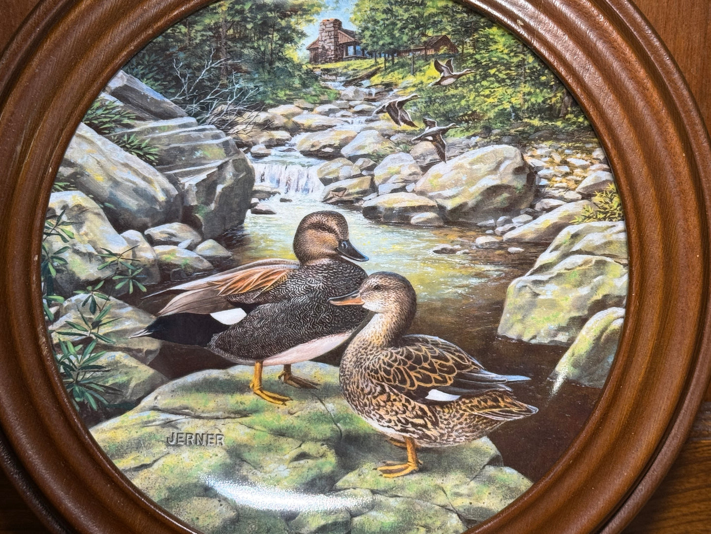 Vintage 1988 “The Gadwall” collector plate by Jerner, framed and part of the Living With Nature series, displayed with detailed artwork.